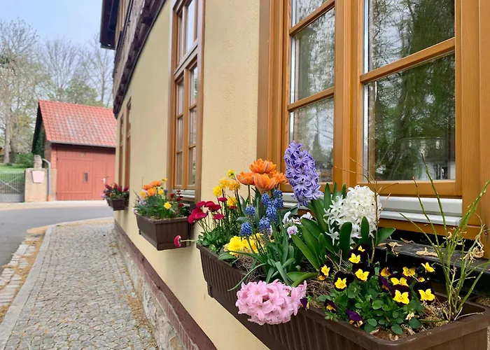 Ruhepol - Garni * Arnstadt